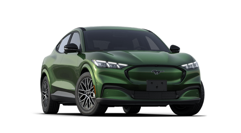 Mustang Mach-E® vehicle